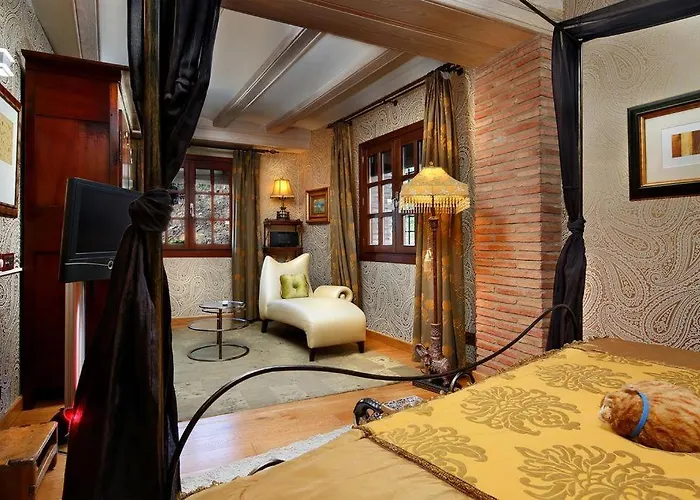 La Parra De Maribel Alquézar